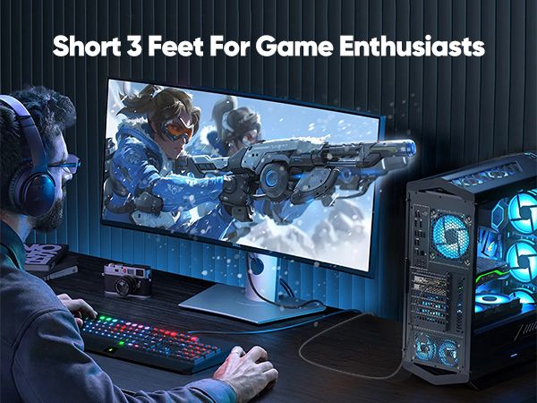 DisplayPort Cable 1.4 3Ft