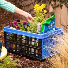 vegetables accessories collaspable stack harvesting trunks multi teacher items foraging picking hand