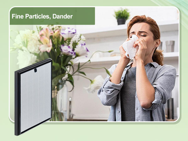air purifer