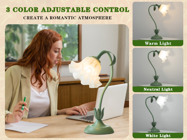 3 Color Temperature