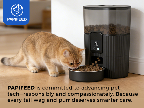 cat feeder