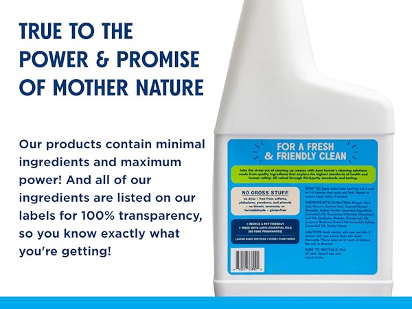 Toilet Bowl Cleaner