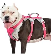 Huntboo Escape Proof Dog Harness, Escape Artist Harness, Reflective Harness with Padded Handle, B...