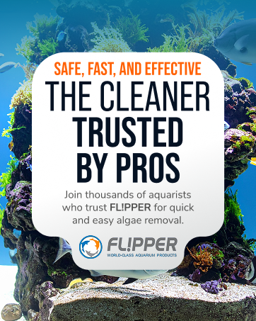 flipper deepsee magnetic aquarium magnifying glass underwater viewer coral lens reef freshwater