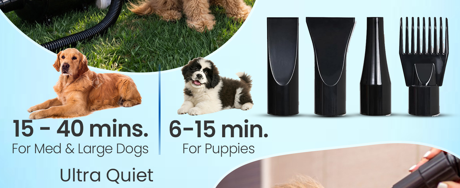 professional dog dryer