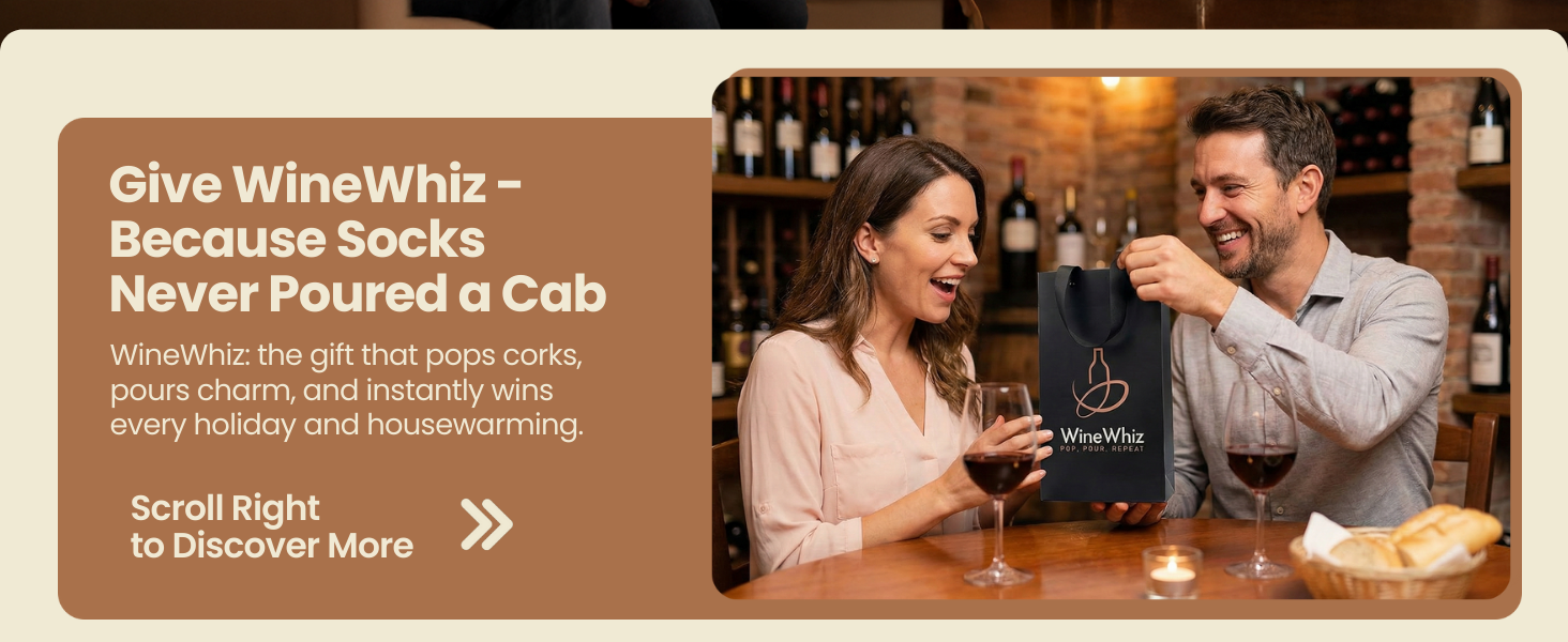 wine dispensers for wine bottles wine aerator dispenser cool gifts for wine drinkers unisex gift