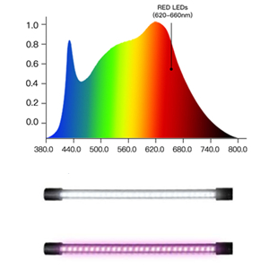 red blue full spectrum