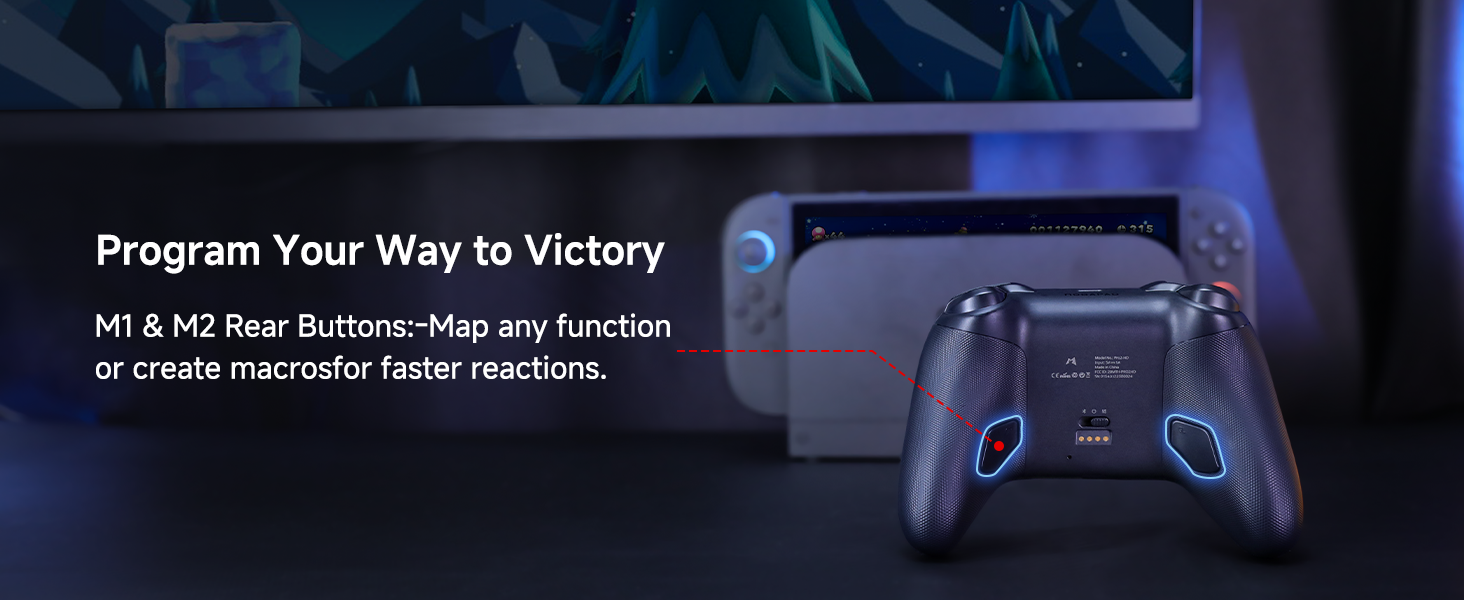 nintendo switch 2 controller pro