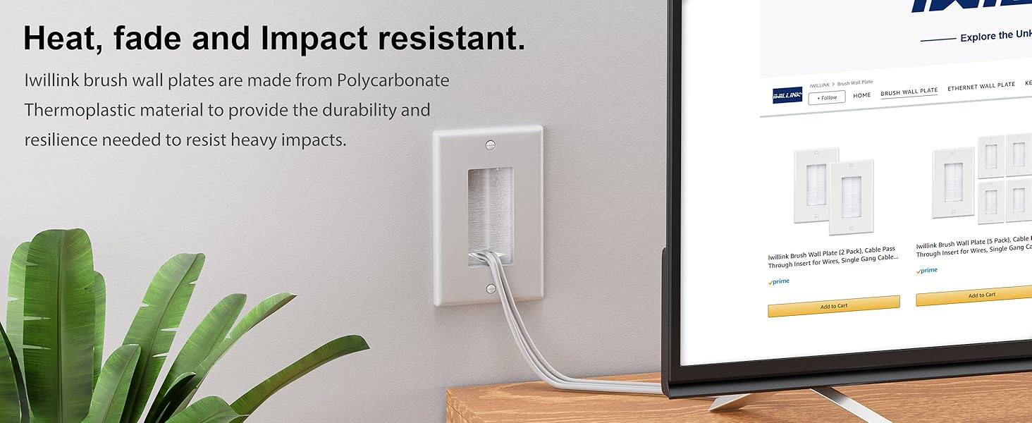 Brush Wall Plate with Low Voltage Mounting Bracket