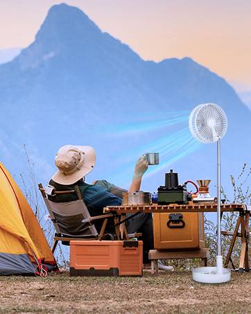 Travel Fan