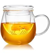 Unbreakable Glass Tea Cup with Infuser and Lid 17 fl oz, Gas Stovetop Safe, Heat Resistant Borosi...