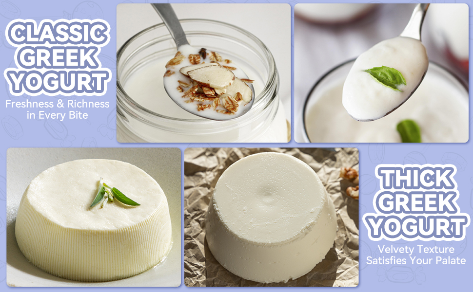 Classic &amp; Thick Yogurt