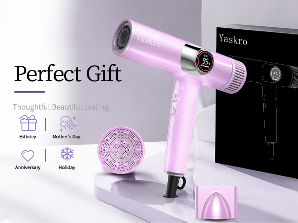 160,000 RPM Ionic Hair Dryer