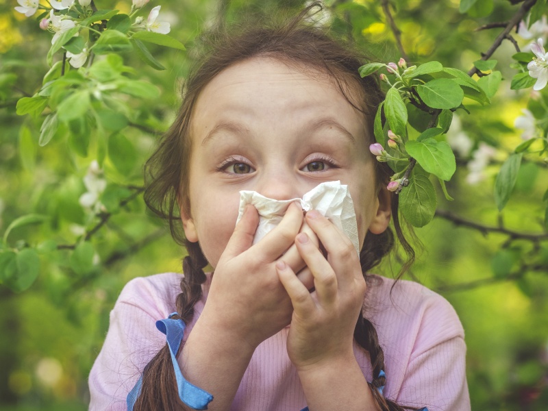 nose tissues