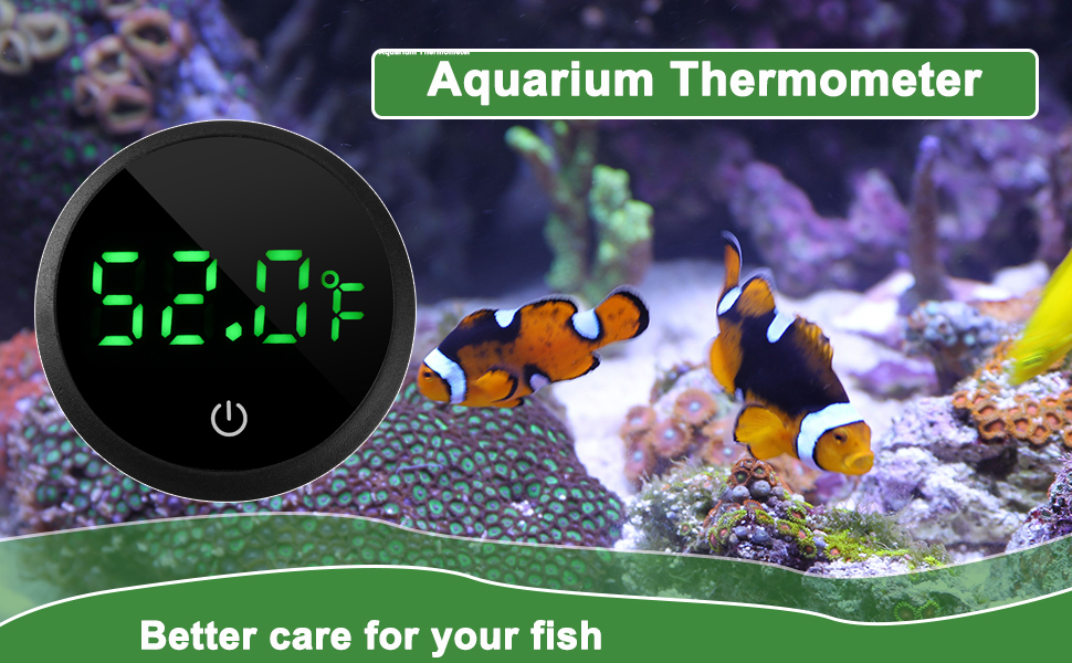 Aquarium Thermometer Digital