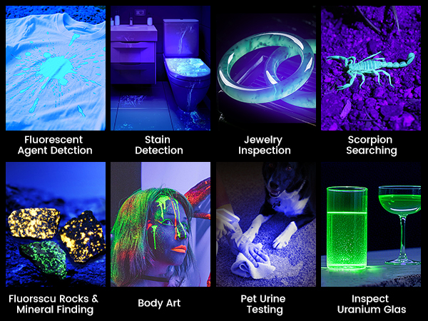 uv flashlight rechargeable