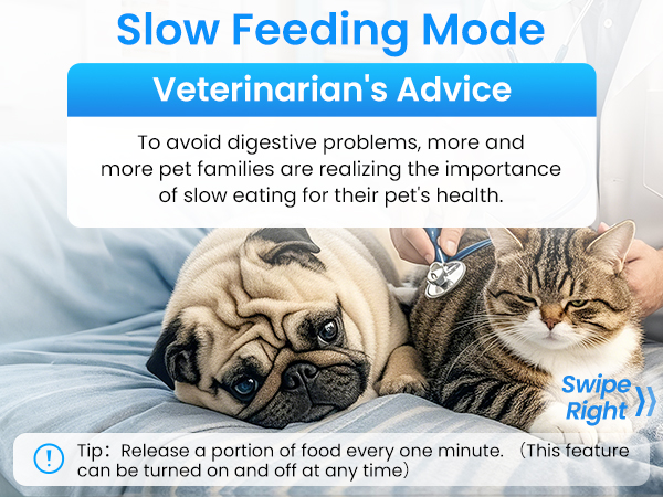 automatic cat feeder wifi