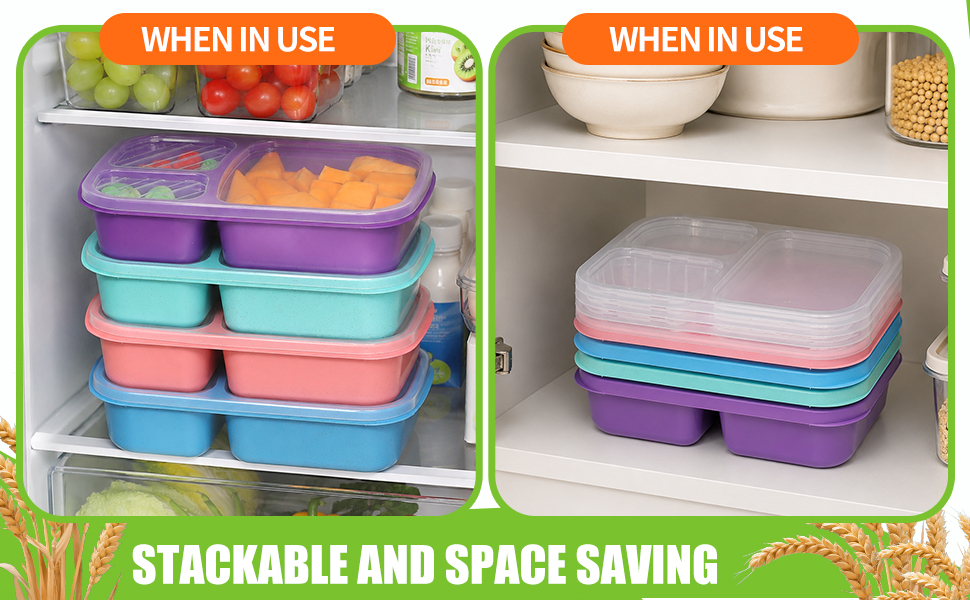 4 Pack Bento Lunch Box Set