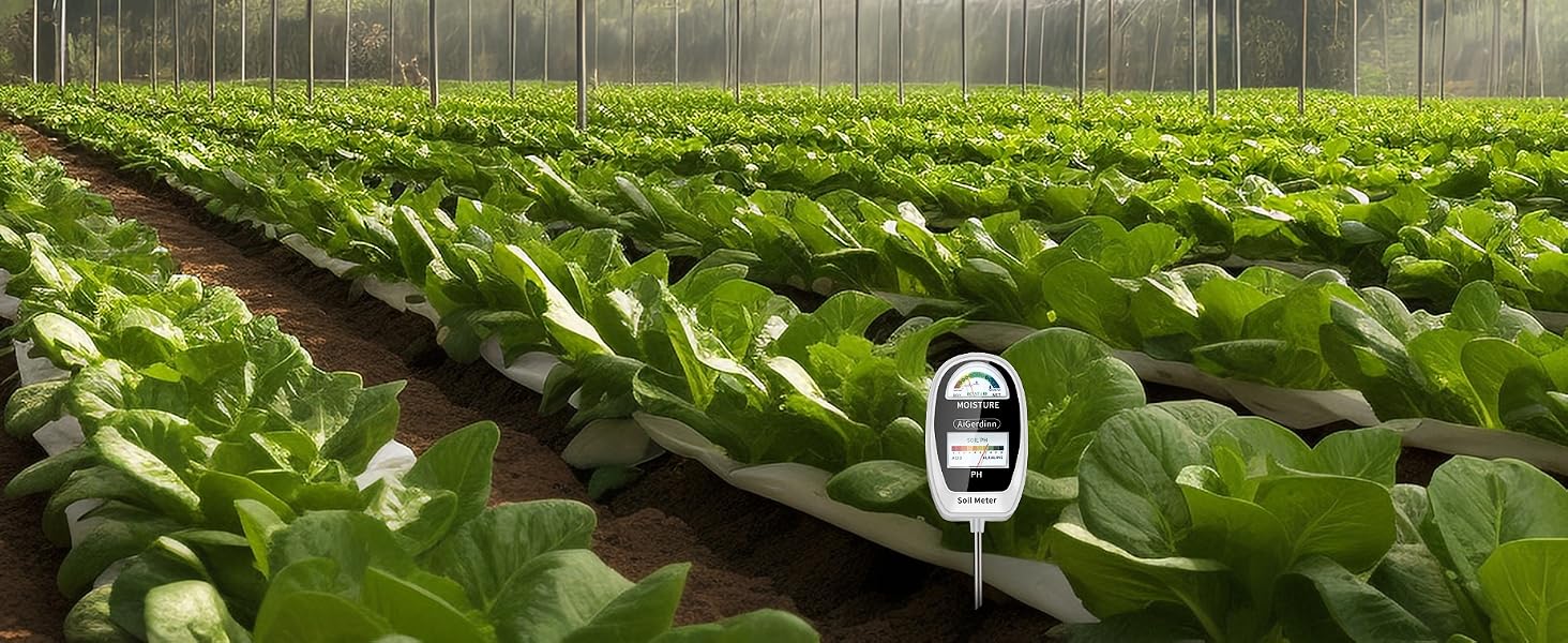 2in1 Moisture Meter