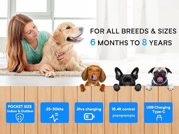 dog barking control devices