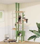 Aechonow Cactus Floor to Ceiling Cat Tree for Large Cats, Large Perch Beds, Adjustable Corner Cat...