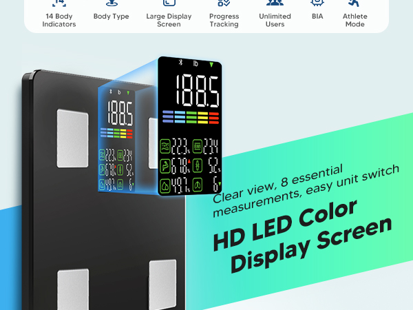 scale with bmi, body fat, muscle mass
