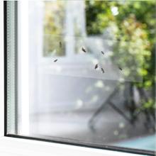 Window Fly trap