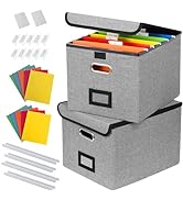 DECOSIS 2Pack File Storage Organizer with 10 Hanging Folders &amp; Plastic Slide, Collapsible Linen F...