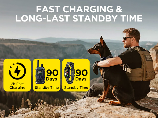 dog shock collar with remote