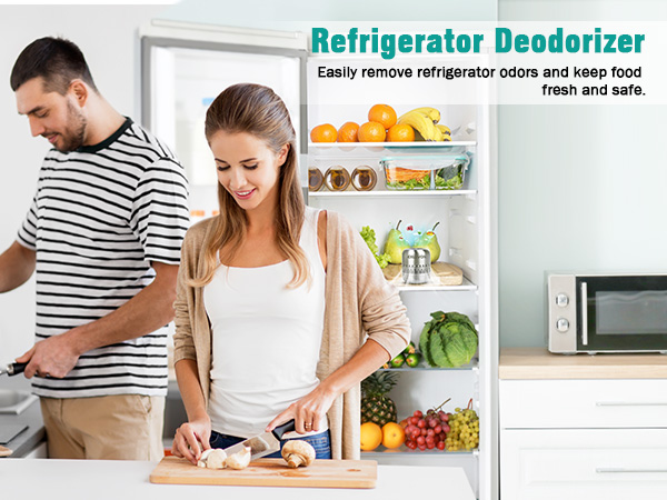 refrigerator deodorizer