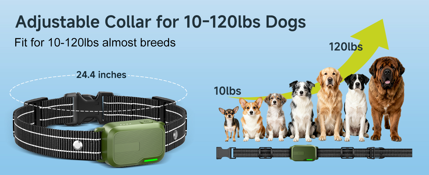 dog shock collar for large dogs