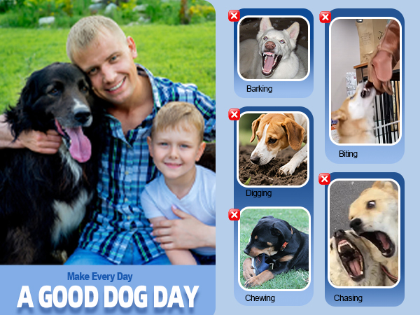 Dog Sonic Bark Deterrents Devices for Own or Neighbor&amp;#39;s Dog,