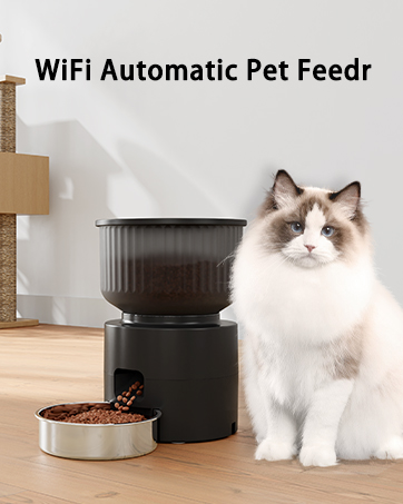 auto cat feeder