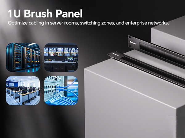 1U Brush Panel