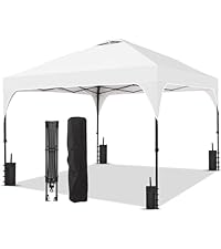 https://m.media-amazon.com/images/I/31rr%2BLzvs3L.__AC_SR200,225___.jpg