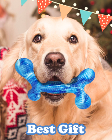 dog chew toys