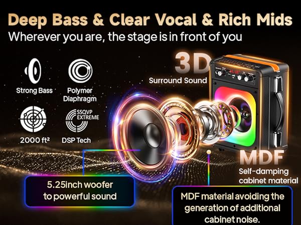 karaoke machine for family party