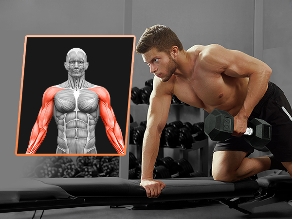 dumbbell weight for exercise and strength training