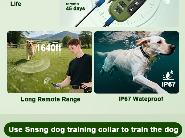 remote control