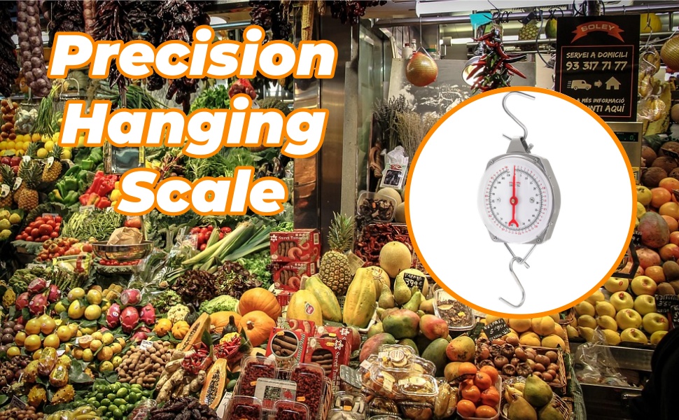 Precision Hanging Scale