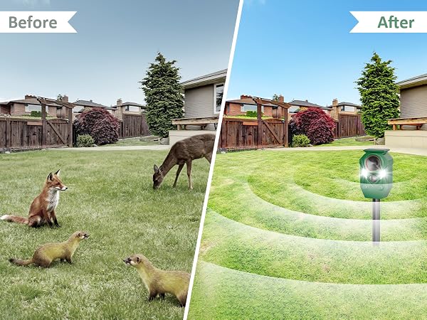 Animal Repeller