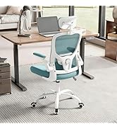 TLLMOON Office Computer Desk Chair - Lumbar Support and Headrest, Ergonomic Mesh Back Swivel Task...