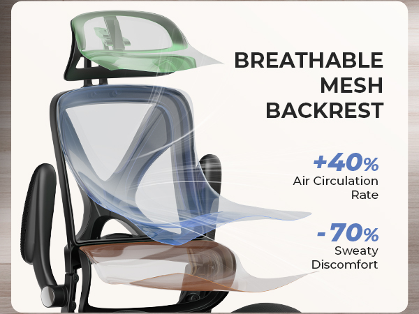 ergonomic office chair