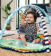 Baby Einstein Play Gym