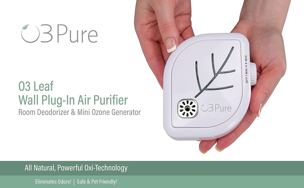 Compact Plug in air purifier and anionizer