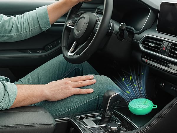 car deodorizer