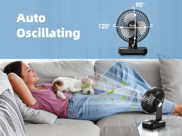 oscillating fan