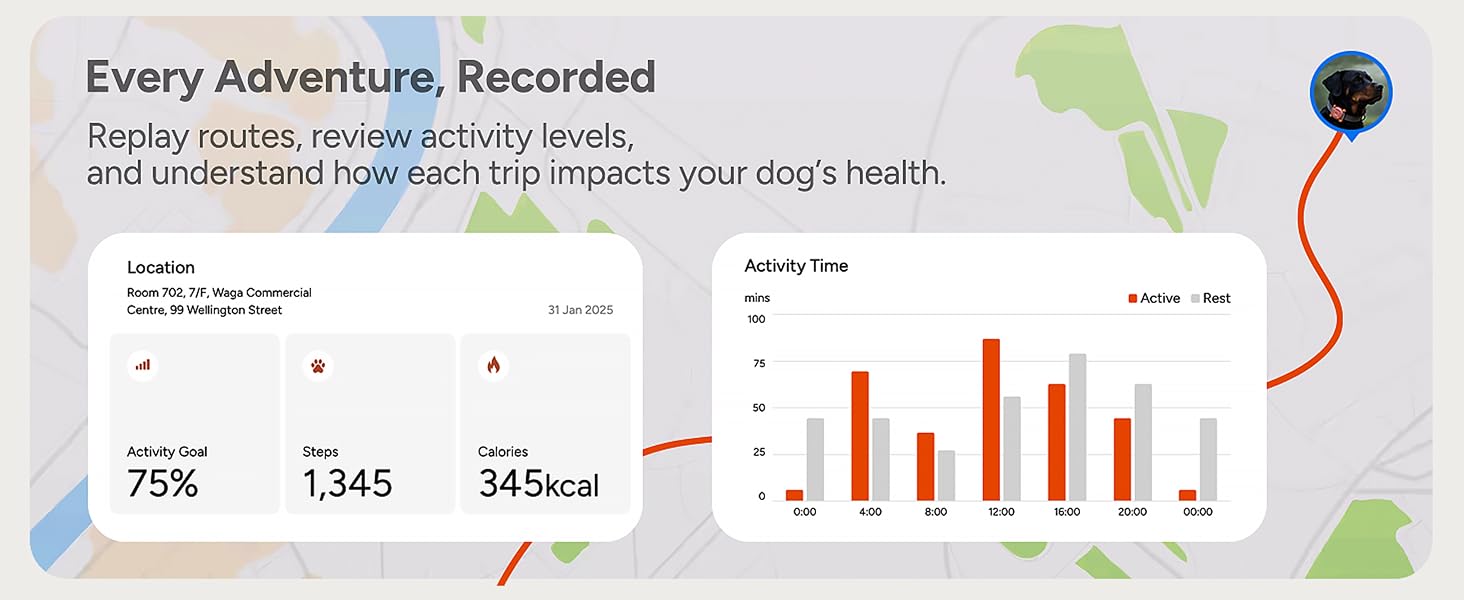 Dog &amp;amp; Cat GPS Tracker