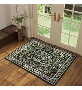 Entryway Rug 2x3 Rug Door Mat Indoor Entrance Washable Rug Small Non-Slip Low Pile Throw Rugs for...