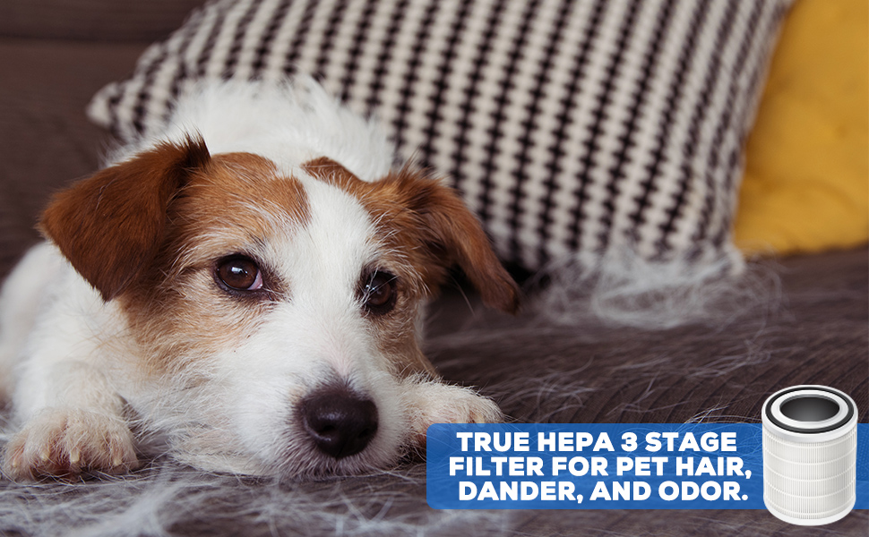 True hepa filter for dog hair dander odor smells cats